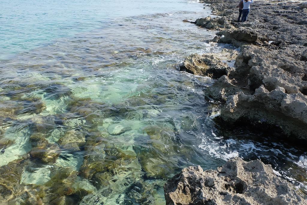 Oasi San Pio Appartamento Porto Cesareo Esterno foto