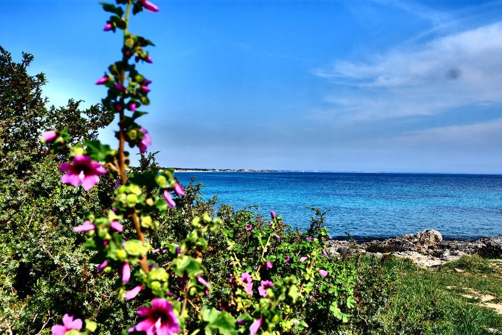 Oasi San Pio Appartamento Porto Cesareo Esterno foto