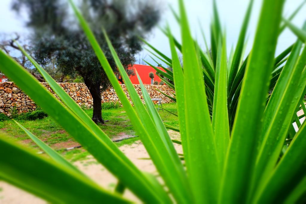 Oasi San Pio Appartamento Porto Cesareo Esterno foto